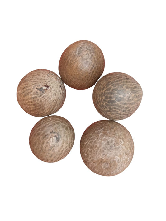 Premium Quality Large Areca Nut-प्रीमियम गुणवत्ता बड़ी सुपारी